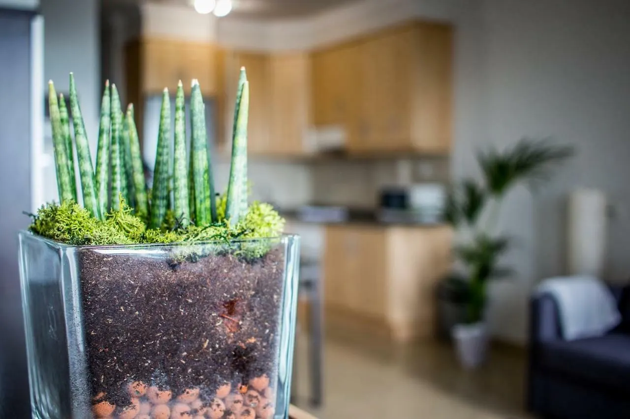 Apartamento Flatguest Aquario Las Palmas de Gran Canaria